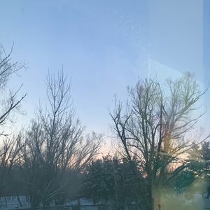 Meet your Posher, Ella